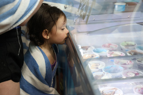 Little kid looking at all the ice cream flavor options