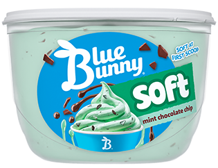 Soft  Mint Chocolate Chip