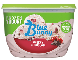 Cherry Chocolate Frozen Yogurt