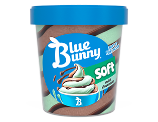Soft Pints  Mint Chocolate