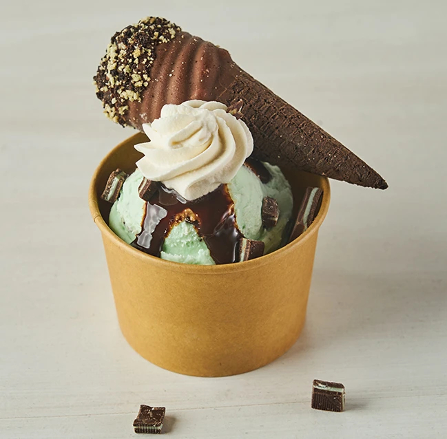 Double Dipper Mint Chipper Sundae