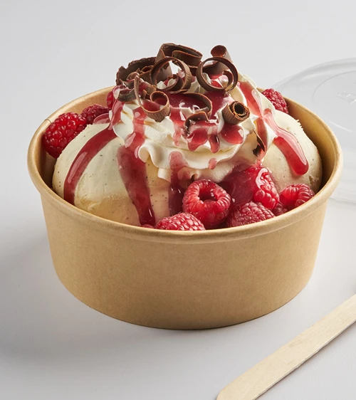 Raspberry Dark Chocolate Sundae