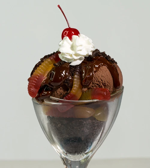 Dirt 'n Worms Ice Cream Sundae