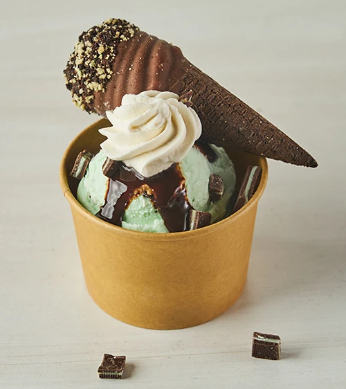 Double Dipper Mint Chipper Sundae