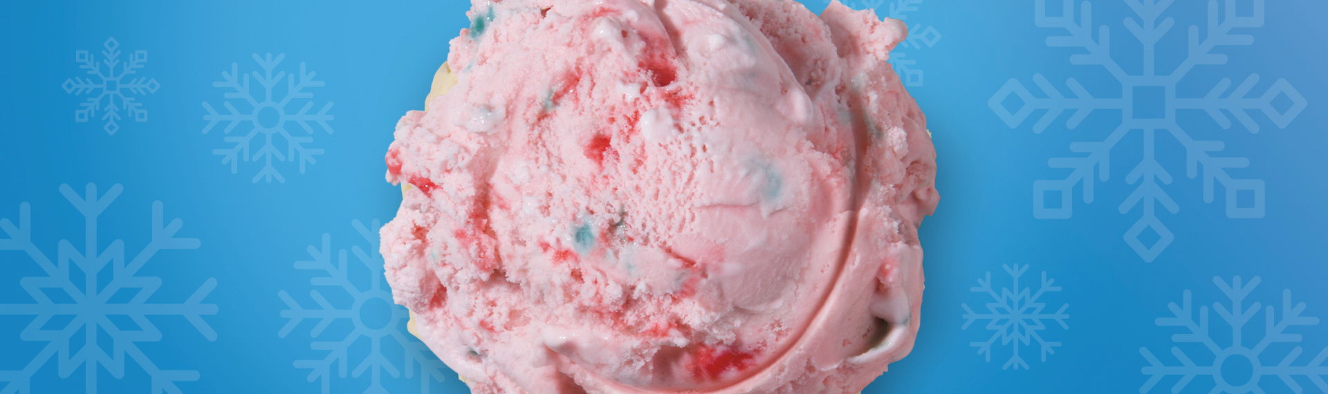 Holiday Cheer is Here