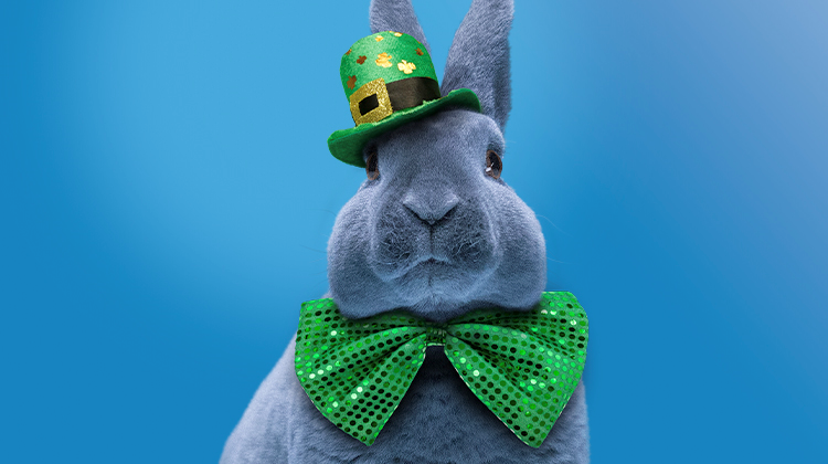 Sham-Rock Your Menu This Spring