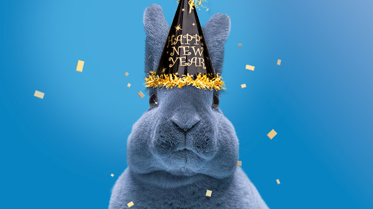 Here's to Sweet Beginnings