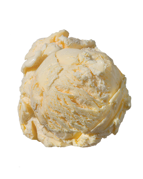 French Vanilla  Frozen Custard