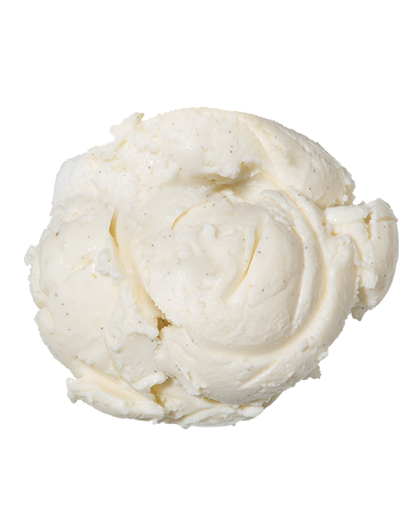 Vanilla Bean  Super Premium Ice Cream