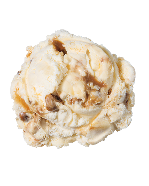 Praline Pecan  Premium Ice Cream