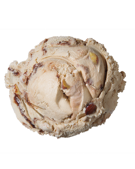 Mocha Almond Fudge  Premium Ice Cream