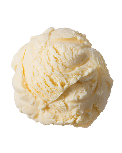 Homemade Vanilla  Premium Ice Cream