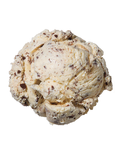 Chocolate Chip  Premium Ice Cream