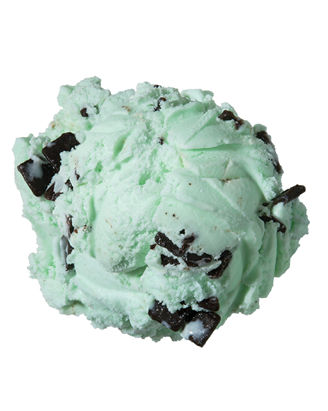 Mint Chocolate Chip  Premium Ice Cream