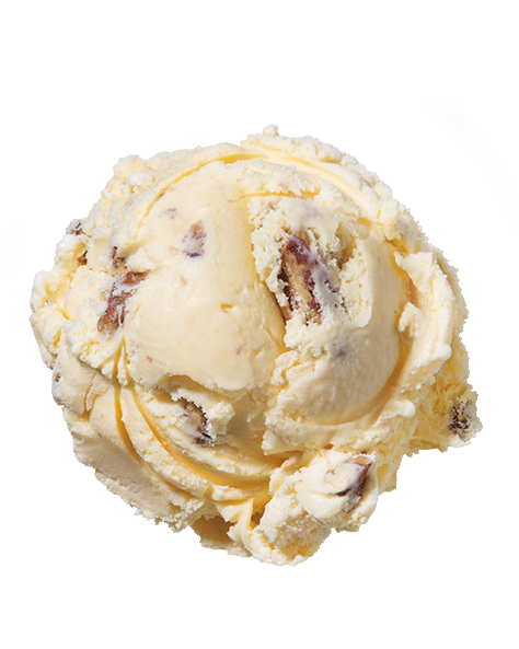 Butter Pecan  Premium Ice Cream
