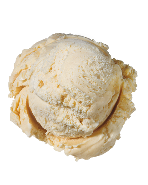 Cinnamon  Premium Ice Cream