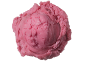 Blue Bunny Wildberry Sorbet
