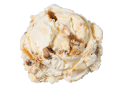 Blue Bunny Praline Pecan  Premium Ice Cream