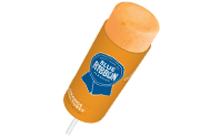 Blue Ribbon Classics Cool Tubes®  Orange