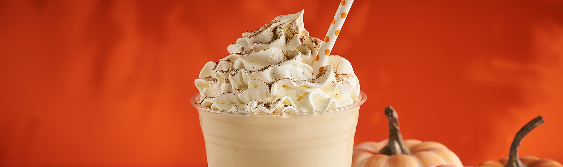 Non-Dairy Pumpkin Pie Shake