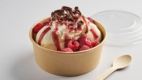 Raspberry Dark Chocolate Sundae