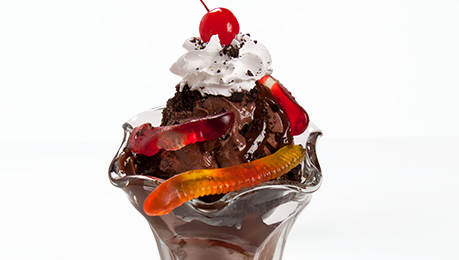 Dirt 'n Worms Ice Cream Sundae
