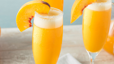 Frozen Mimosa