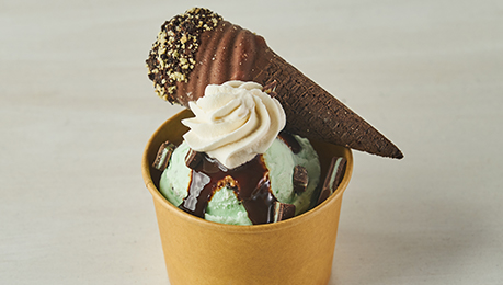 Double Dipper Mint Chipper Sundae