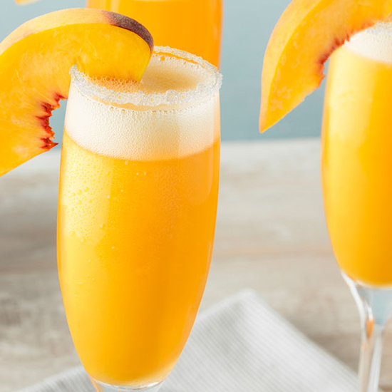 Frozen Mimosa