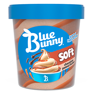 Soft Pints  Chocolate Peanut Butter