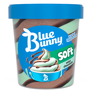 Soft Pints  Mint Chocolate