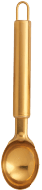 Gold Spoon