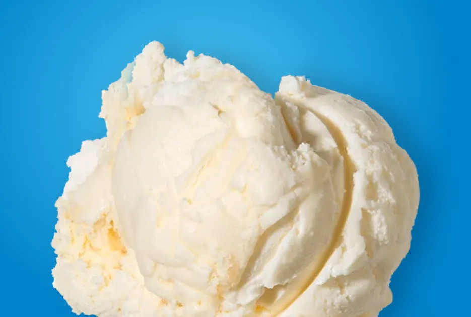 Quick Blend Ice Cream