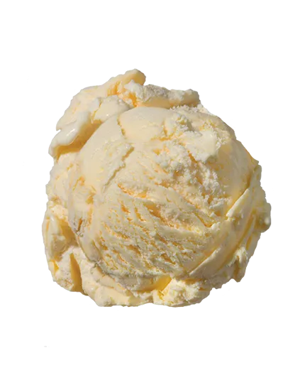 French Vanilla  Frozen Custard