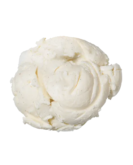 Vanilla Bean  Super Premium Ice Cream