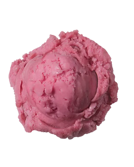 Wildberry Sorbet