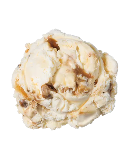 Praline Pecan  Premium Ice Cream