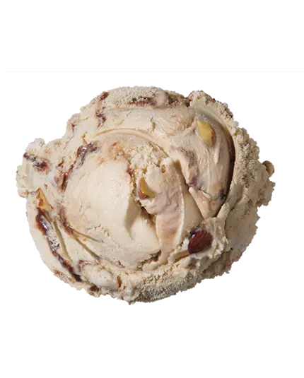 Mocha Almond Fudge  Premium Ice Cream