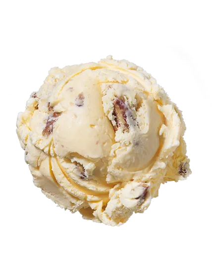 Butter Pecan  Reduced Fat No Sugar Added  Ice Cream