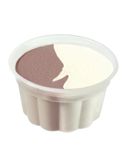Low Fat Chocolate & Vanilla Ice Cream Cup