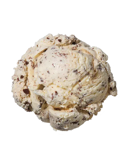 Chocolate Chip  Premium Ice Cream