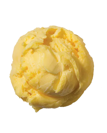 Mango Sorbet