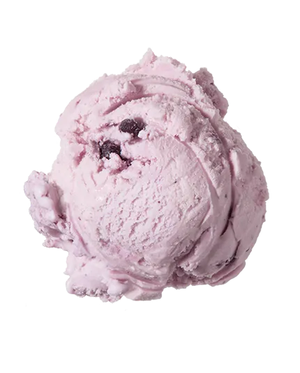 Huckleberry  Premium Ice Cream