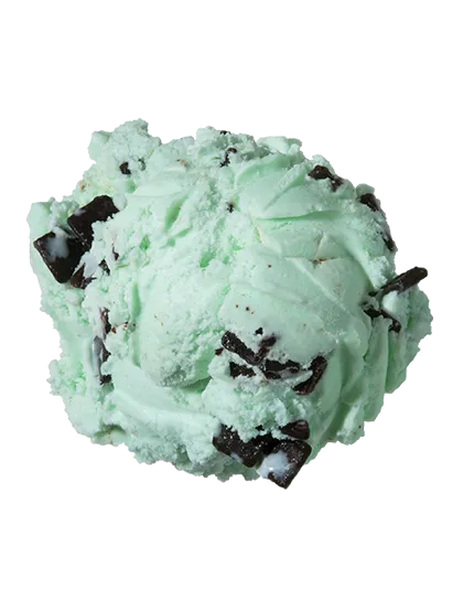 Mint Chocolate Chip  Premium Ice Cream