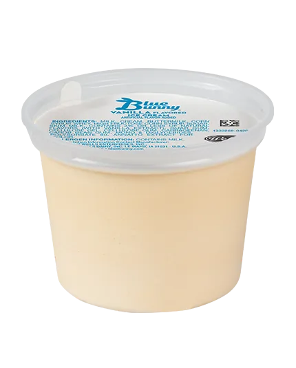 Vanilla  Ice Cream Cup