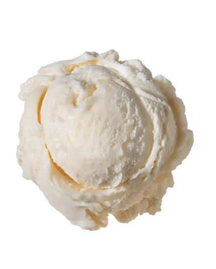 Vanilla Fat Free  Frozen Yogurt