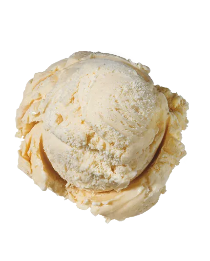 Cinnamon  Premium Ice Cream