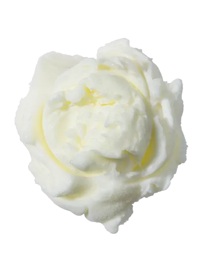 Lemon Sorbet