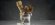 S'more, Please