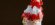 Strawberry Cheesecake Shake